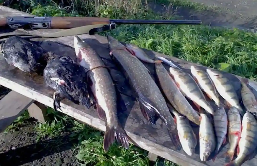 Рыбалка, База отдыха Карельская жемчужина