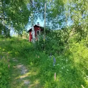 Коттедж (Избушка на острове) Меклахти