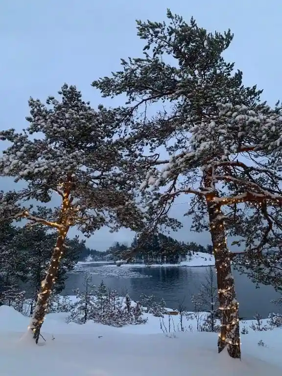 База отдыха Lago Ladoga