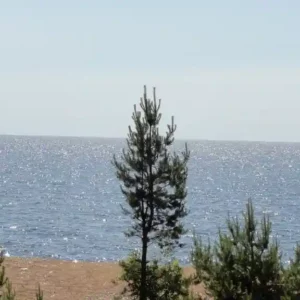 Номер (Бунгало — С видом на пляж) Заречье 18