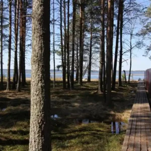 Номер (Дом для отпуска) В Дачном переулке в Сяпсе