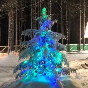 Номер (Дом с 1 спальней) В Дачном переулке в Сяпсе