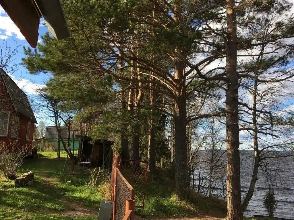 Загородный отель Дом на озере Суоярви