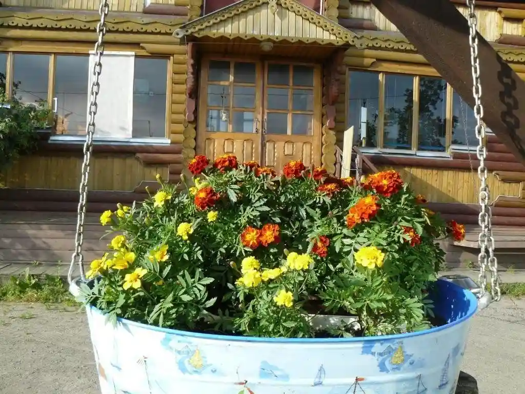 Гостевой дом Морской конёк Петрозаводск