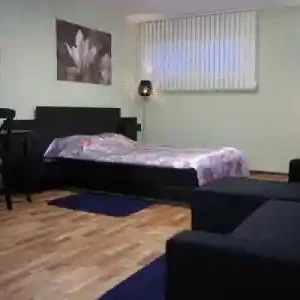 Семейный номер Стандарт Подкова