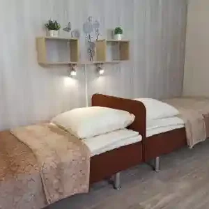 Двухместный номер Комфорт Карелия
