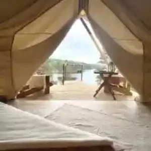 Тент Смородина Кемп