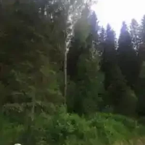 Апартаменты в Сортавале