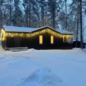 Шале с 2 комнатами Шишки