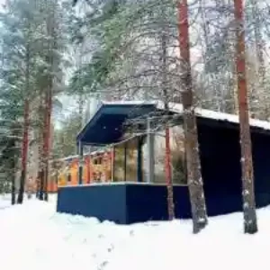 Коттедж Шишки
