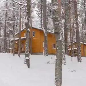 Коттедж Superior Шишки