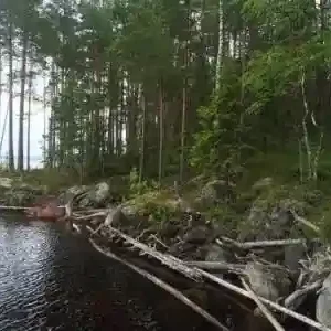 Дом с 3 спальнями Karhu-Segozero