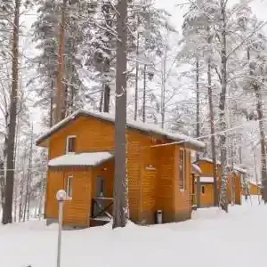 Коттедж Superior с 3 комнатами Шишки
